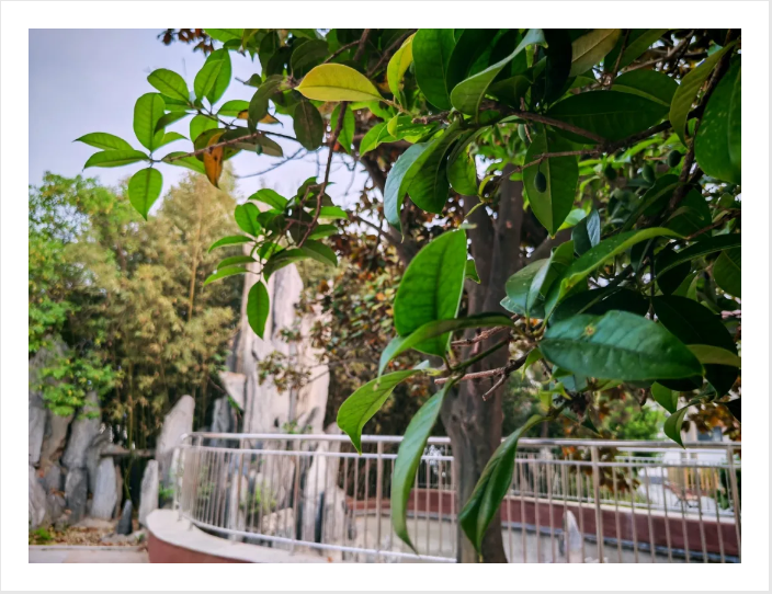 1719299439190279.png image.png